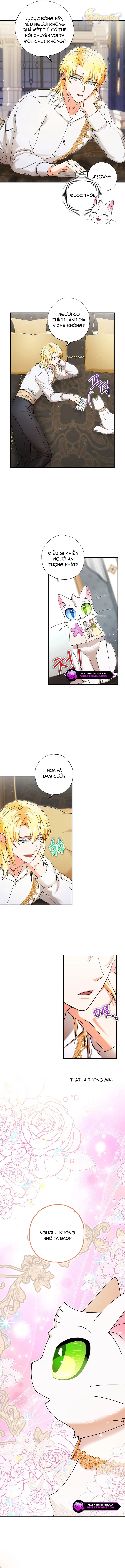 Trở Thành Miêu Nữ Của Hoàng Đế Chapter 32 - 10