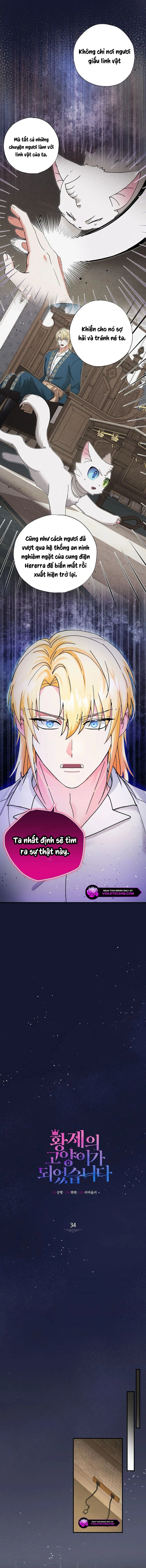 Trở Thành Miêu Nữ Của Hoàng Đế Chapter 34 - 2