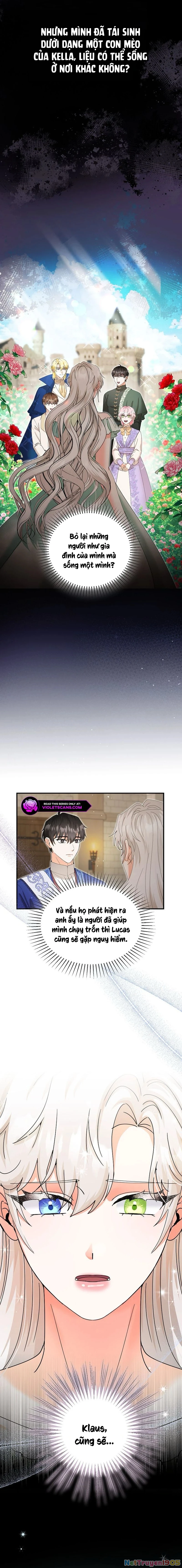 Trở Thành Miêu Nữ Của Hoàng Đế Chapter 34 - 7