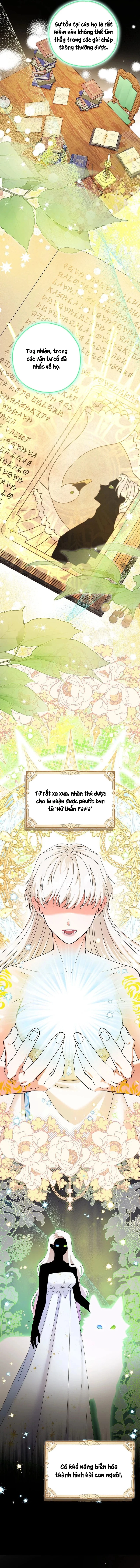 Trở Thành Miêu Nữ Của Hoàng Đế Chapter 35 - 6