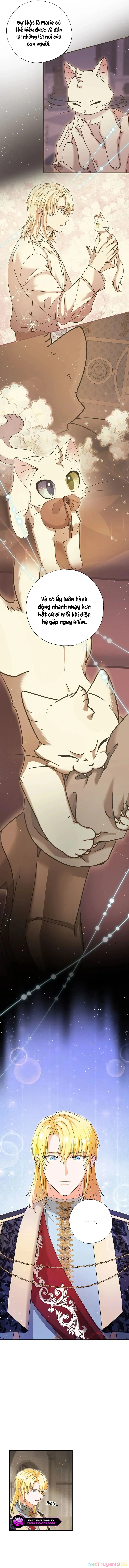 Trở Thành Miêu Nữ Của Hoàng Đế Chapter 35 - 8