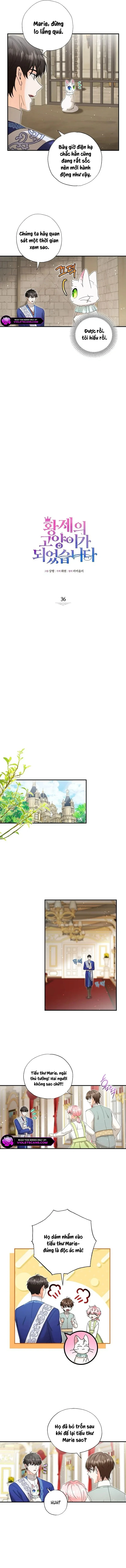 Trở Thành Miêu Nữ Của Hoàng Đế Chapter 36 - 2