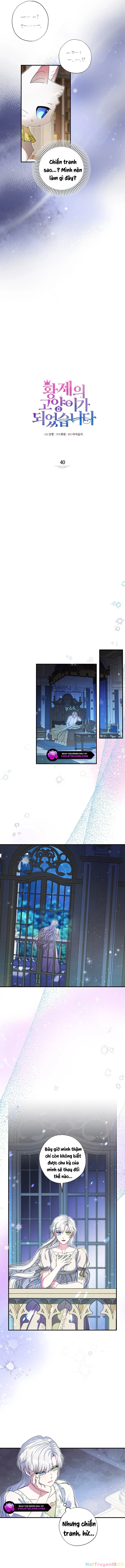 Trở Thành Miêu Nữ Của Hoàng Đế Chapter 40 - 5