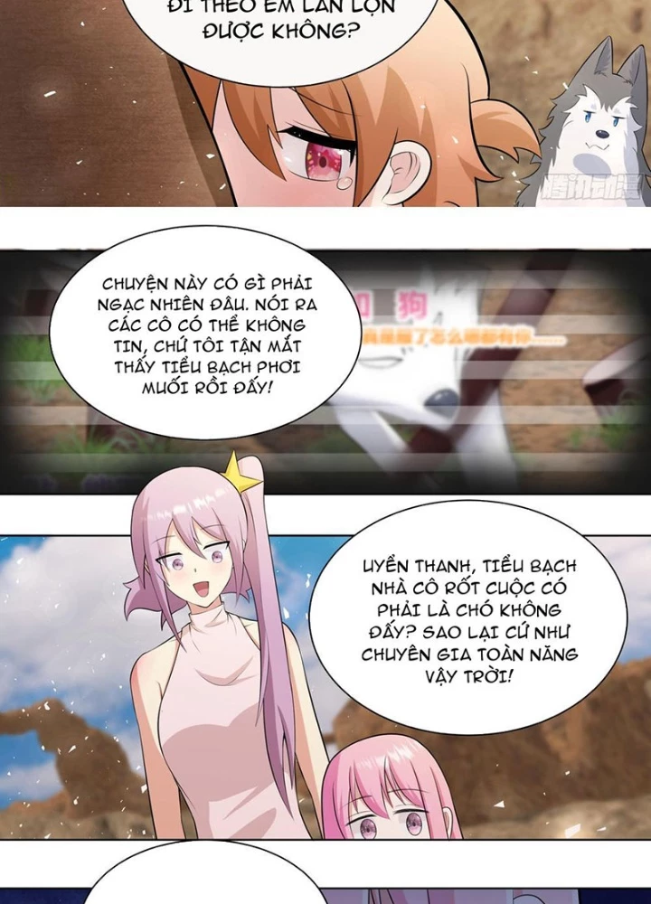 Trọng Sinh Thành Chó Của Nữ Thần Chapter 406 - 15