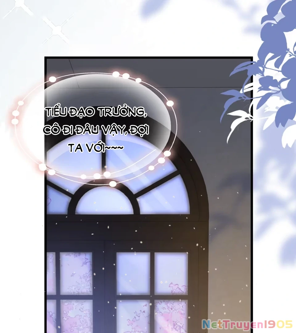 Tiểu Thư Ma Nữ, Cấm Dính Sát! Chapter 13 - 45