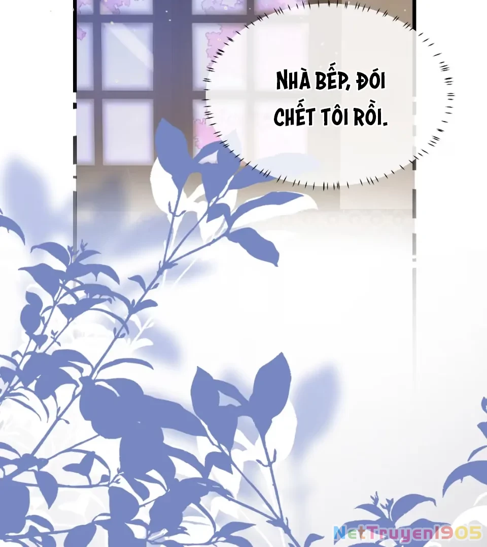 Tiểu Thư Ma Nữ, Cấm Dính Sát! Chapter 13 - 46