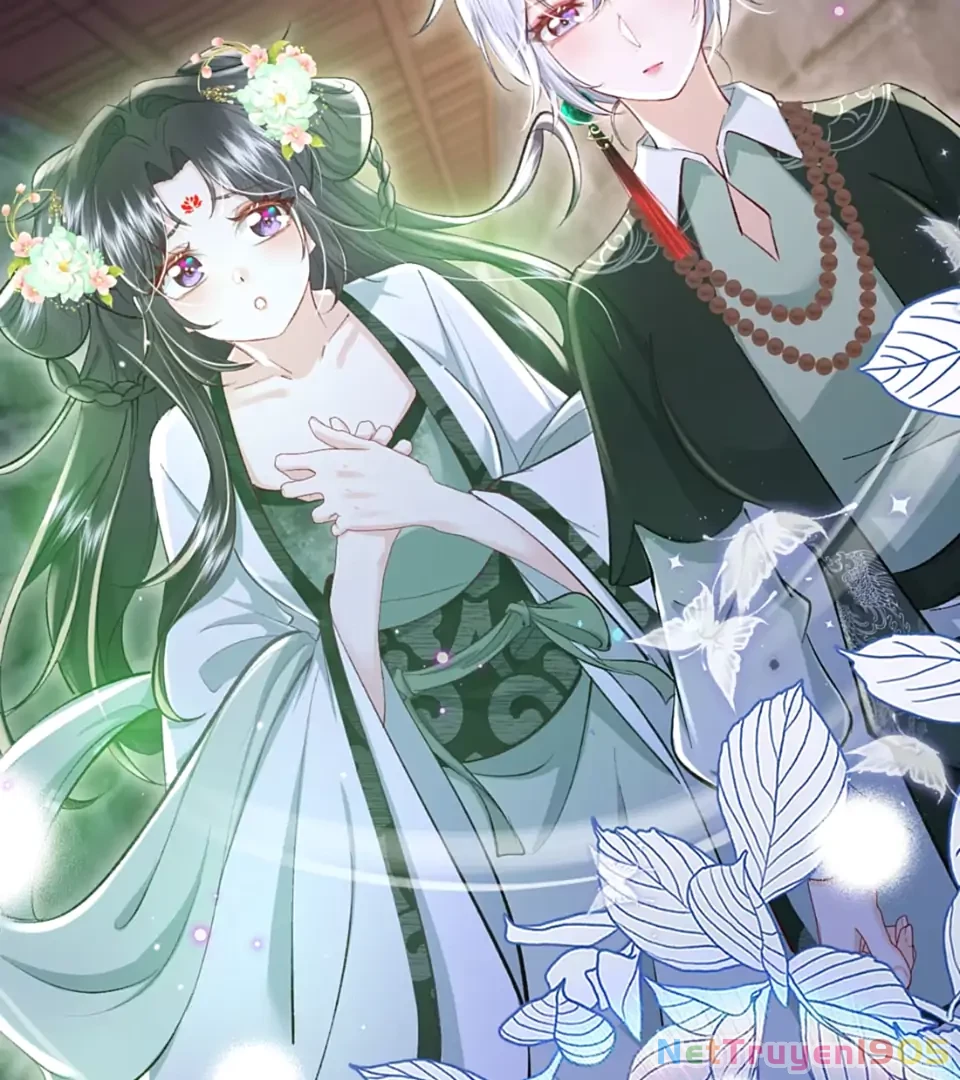 Tiểu Thư Ma Nữ, Cấm Dính Sát! Chapter 17 - 32