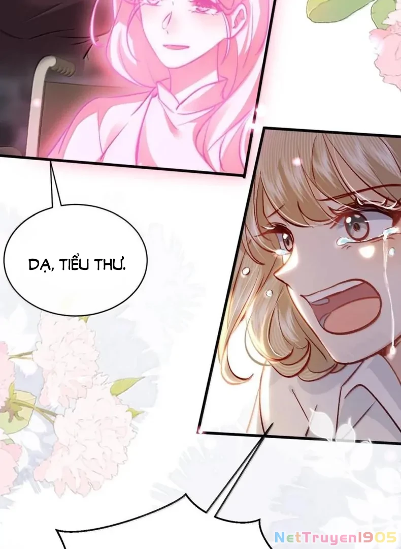 Tiểu Thư Ma Nữ, Cấm Dính Sát! Chapter 20 - 50