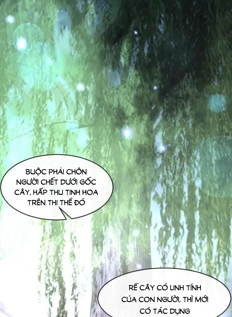 Tiểu Thư Ma Nữ, Cấm Dính Sát! Chapter 23 - 8