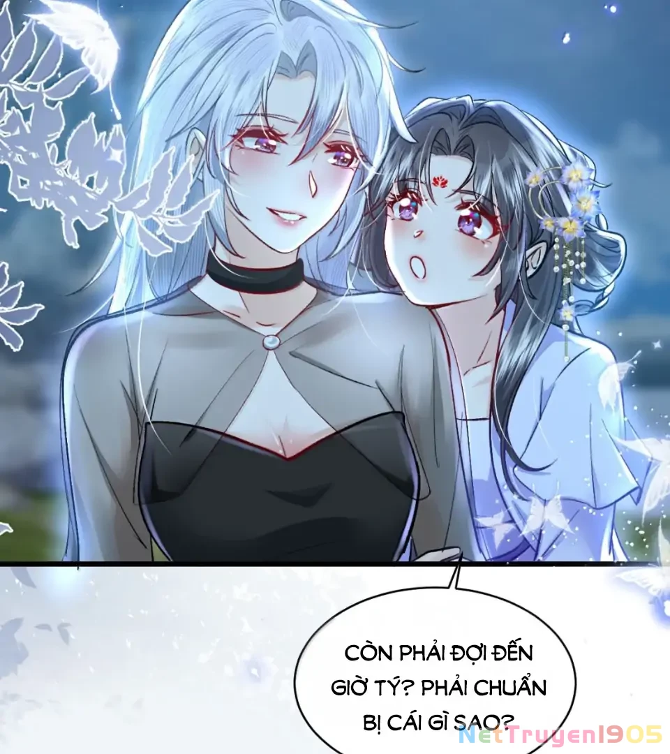 Tiểu Thư Ma Nữ, Cấm Dính Sát! Chapter 24 - 42