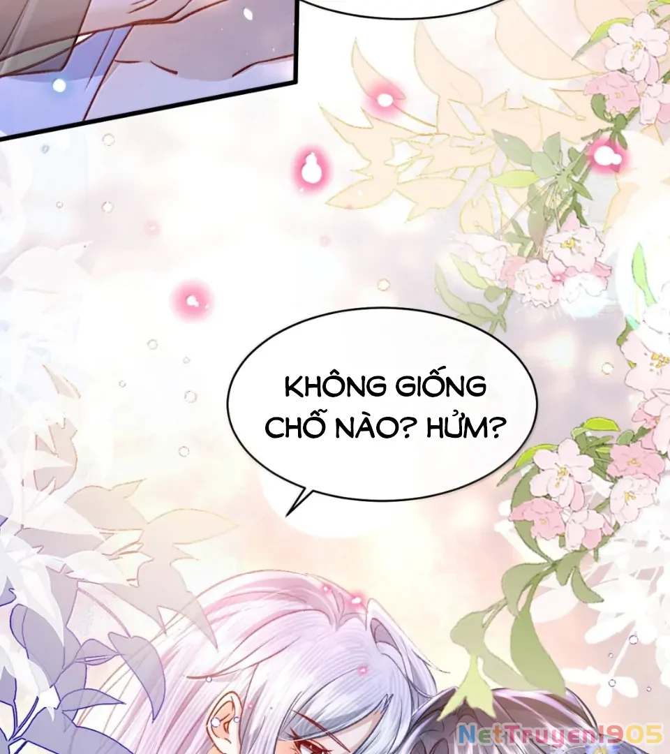 Tiểu Thư Ma Nữ, Cấm Dính Sát! Chapter 24 - 58