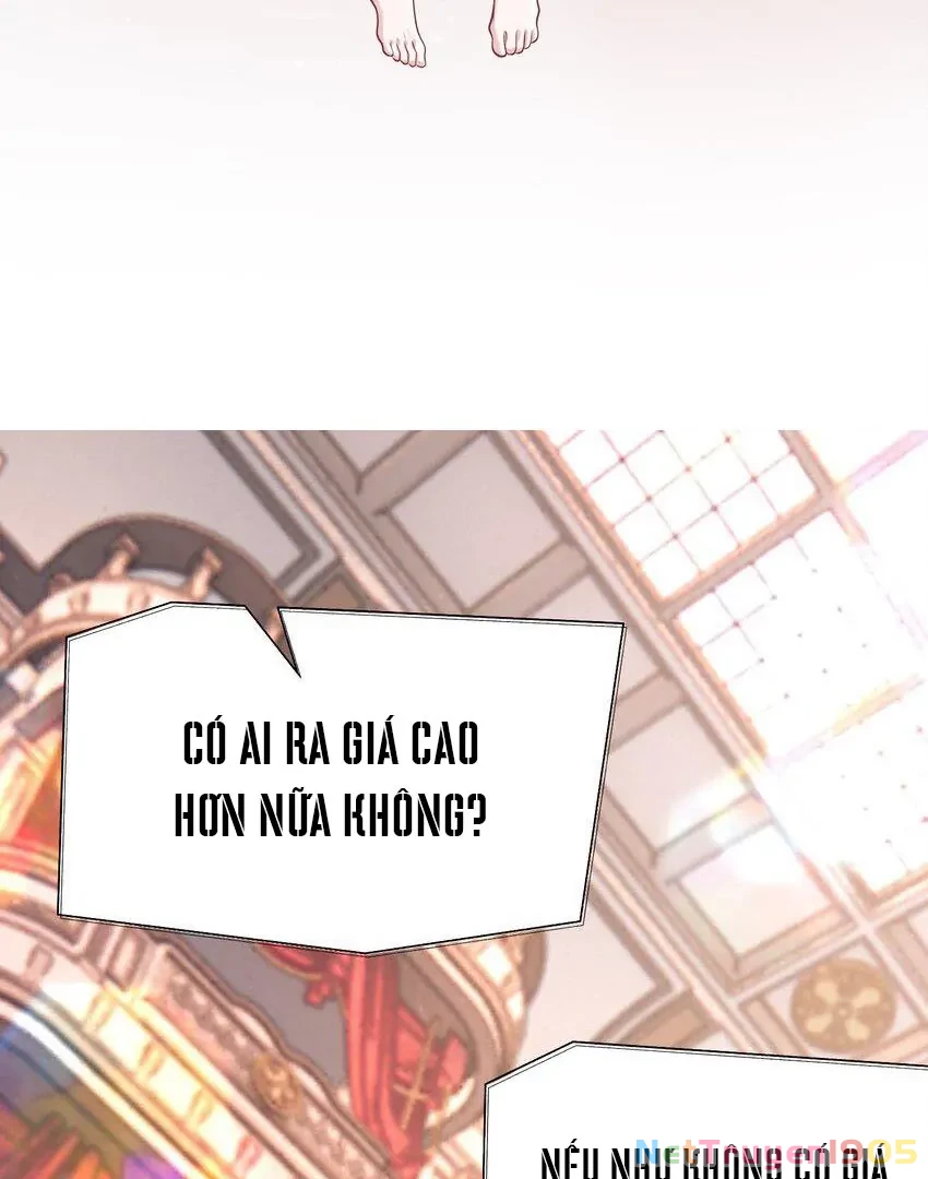 Cô Ấy Dường Như Đang Trêu Chọc Tôi Chapter 31 - 50