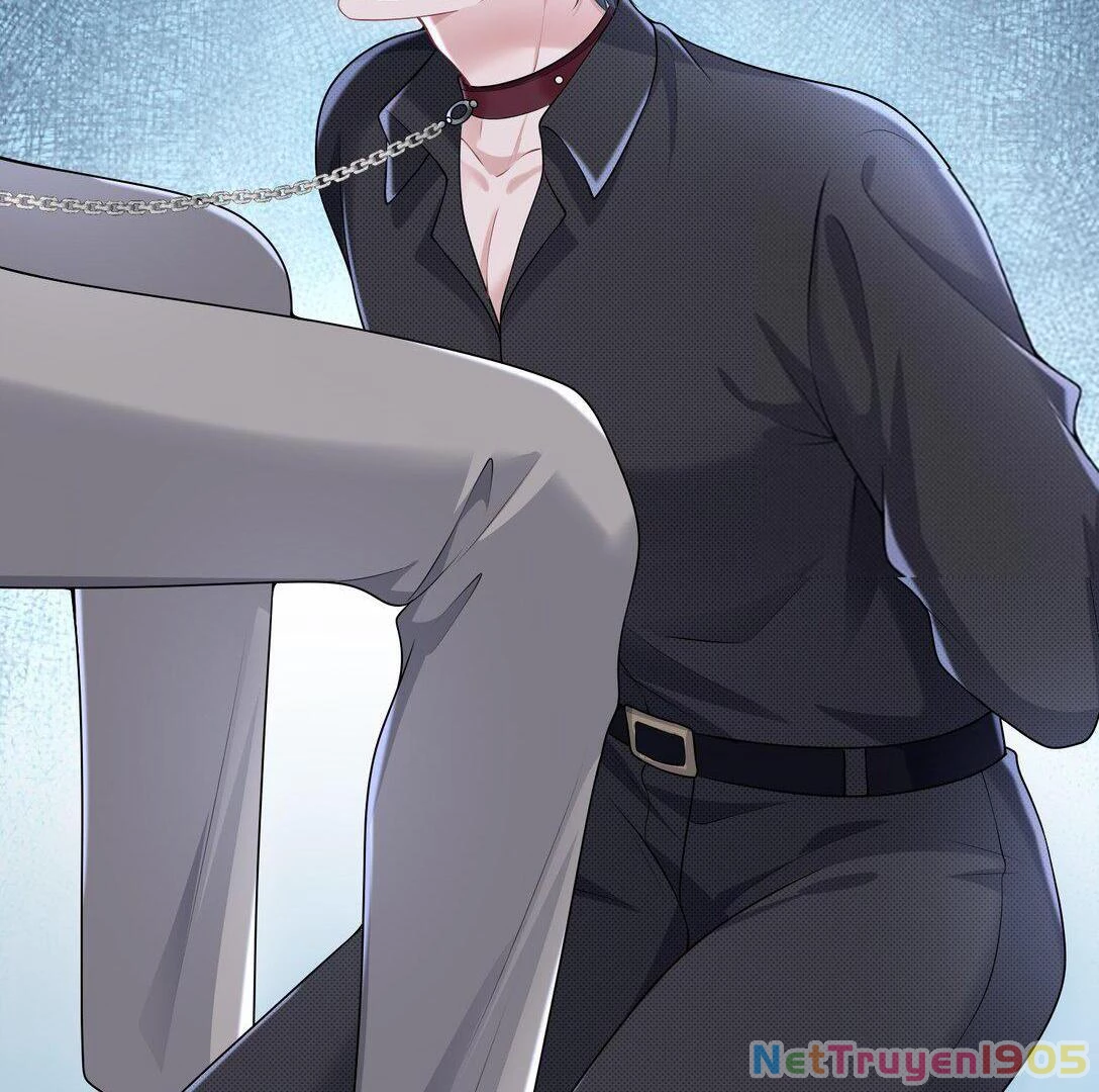 Cô Ấy Dường Như Đang Trêu Chọc Tôi Chapter 41 - 52