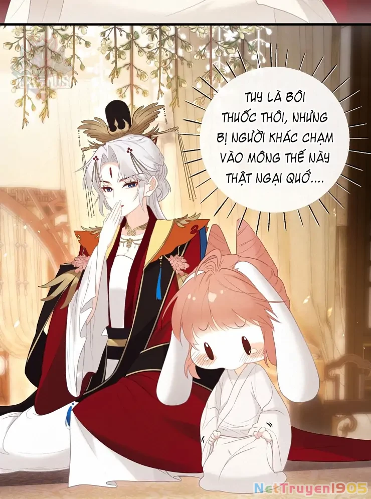 Nghe Nói Thái Hậu Với Thái Hậu Là Thật Sao? Chapter 6 - 12