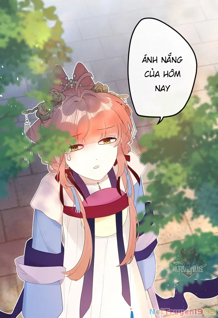 Nghe Nói Thái Hậu Với Thái Hậu Là Thật Sao? Chapter 8 - 23