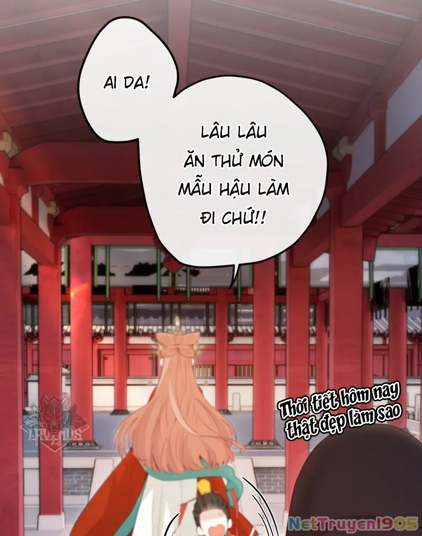 Nghe Nói Thái Hậu Với Thái Hậu Là Thật Sao? Chapter 13 - 12
