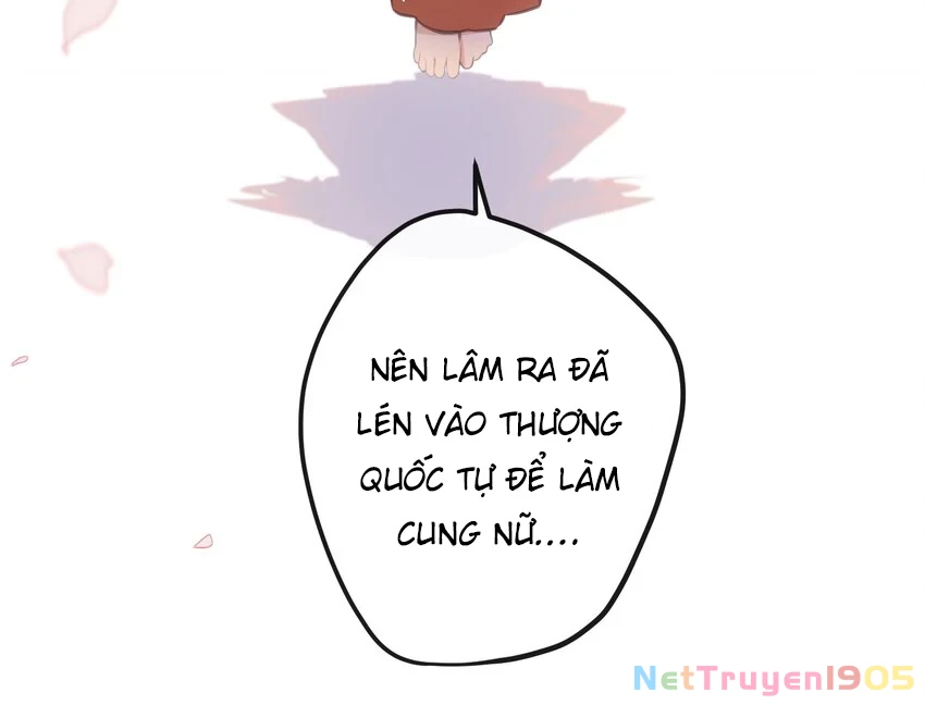 Nghe Nói Thái Hậu Với Thái Hậu Là Thật Sao? Chapter 19 - 36