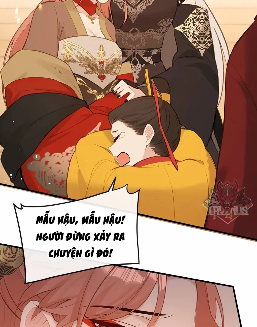 Nghe Nói Thái Hậu Với Thái Hậu Là Thật Sao? Chapter 21 - 13