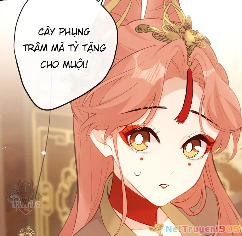 Nghe Nói Thái Hậu Với Thái Hậu Là Thật Sao? Chapter 22 - 15