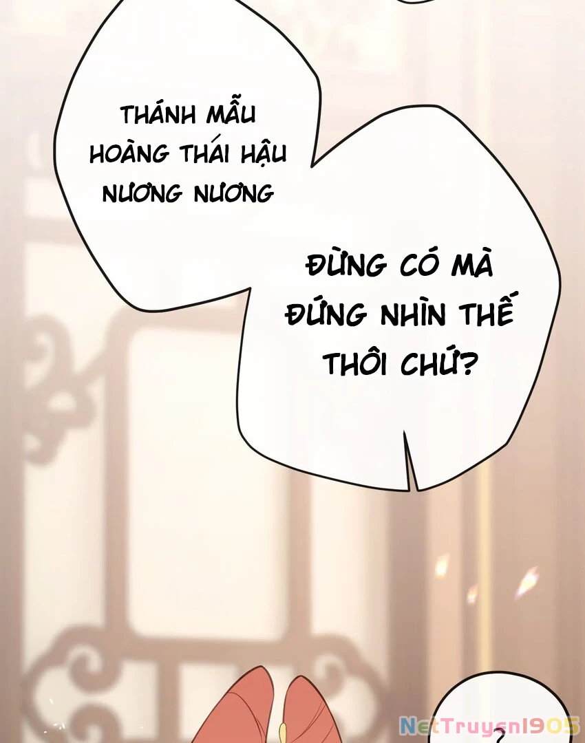 Nghe Nói Thái Hậu Với Thái Hậu Là Thật Sao? Chapter 22 - 51