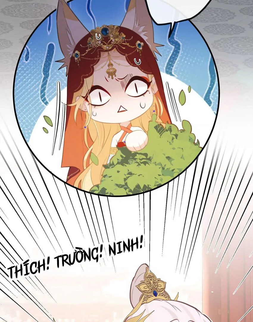 Nghe Nói Thái Hậu Với Thái Hậu Là Thật Sao? Chapter 26 - 12