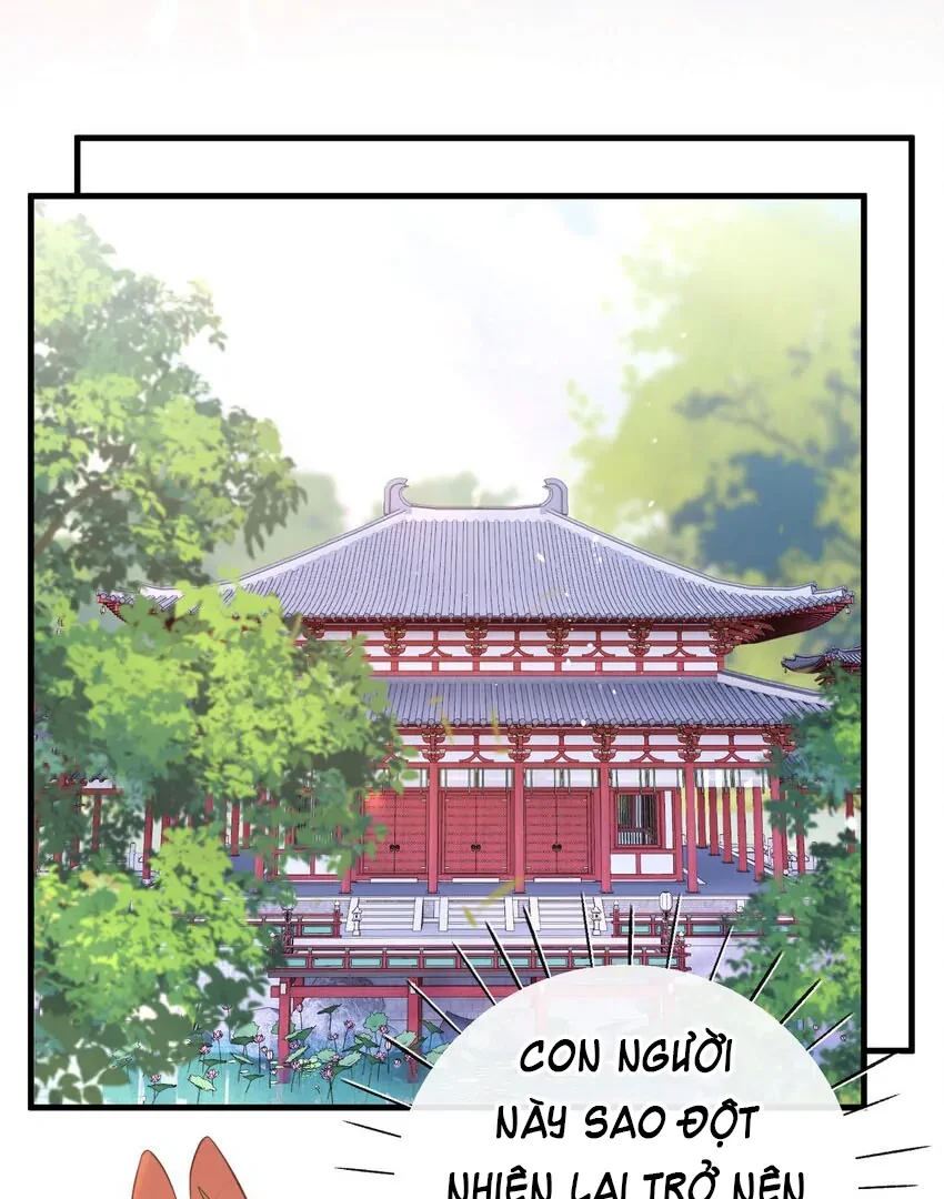 Nghe Nói Thái Hậu Với Thái Hậu Là Thật Sao? Chapter 26 - 15