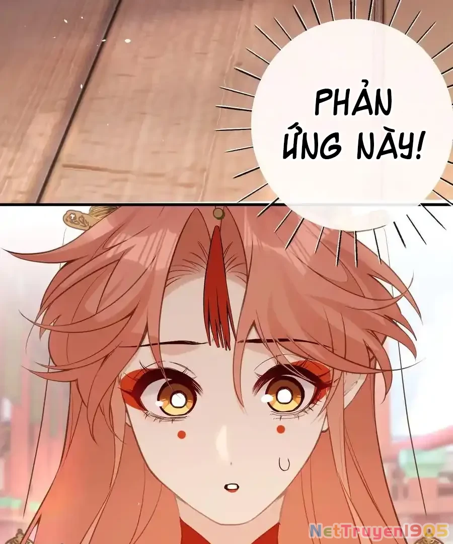 Nghe Nói Thái Hậu Với Thái Hậu Là Thật Sao? Chapter 29 - 37
