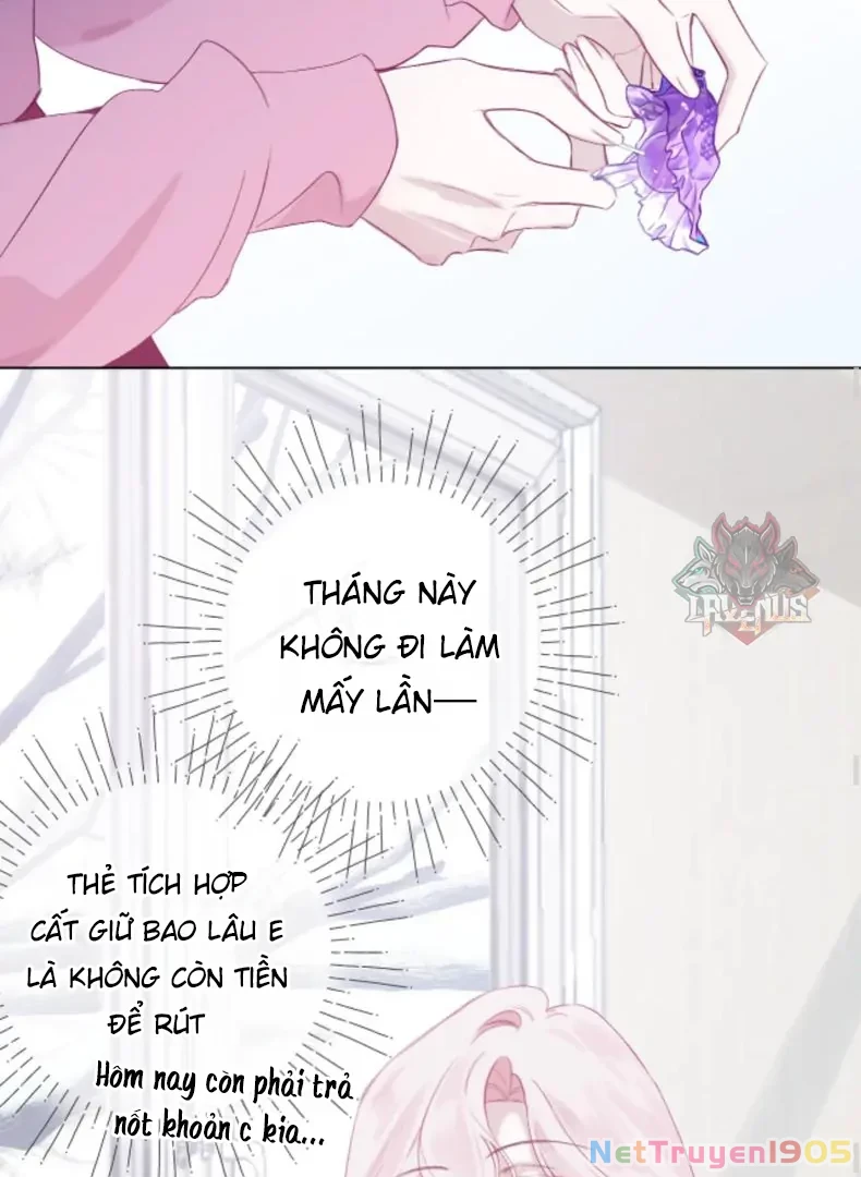 Nhịp Đập Cảm Xúc Chapter 3 - 11