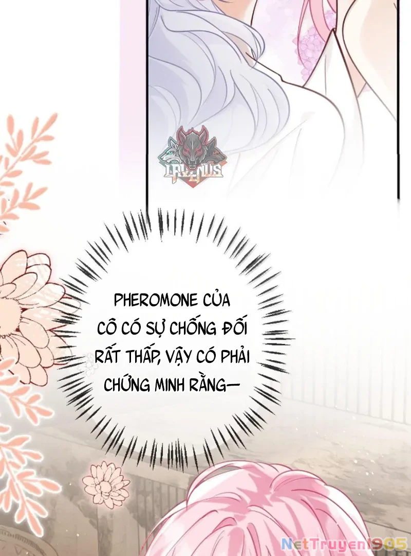Bạch Nguyệt Quang Cô Ấy Luôn Muốn Đánh Dấu Tôi Chapter 21 - 34