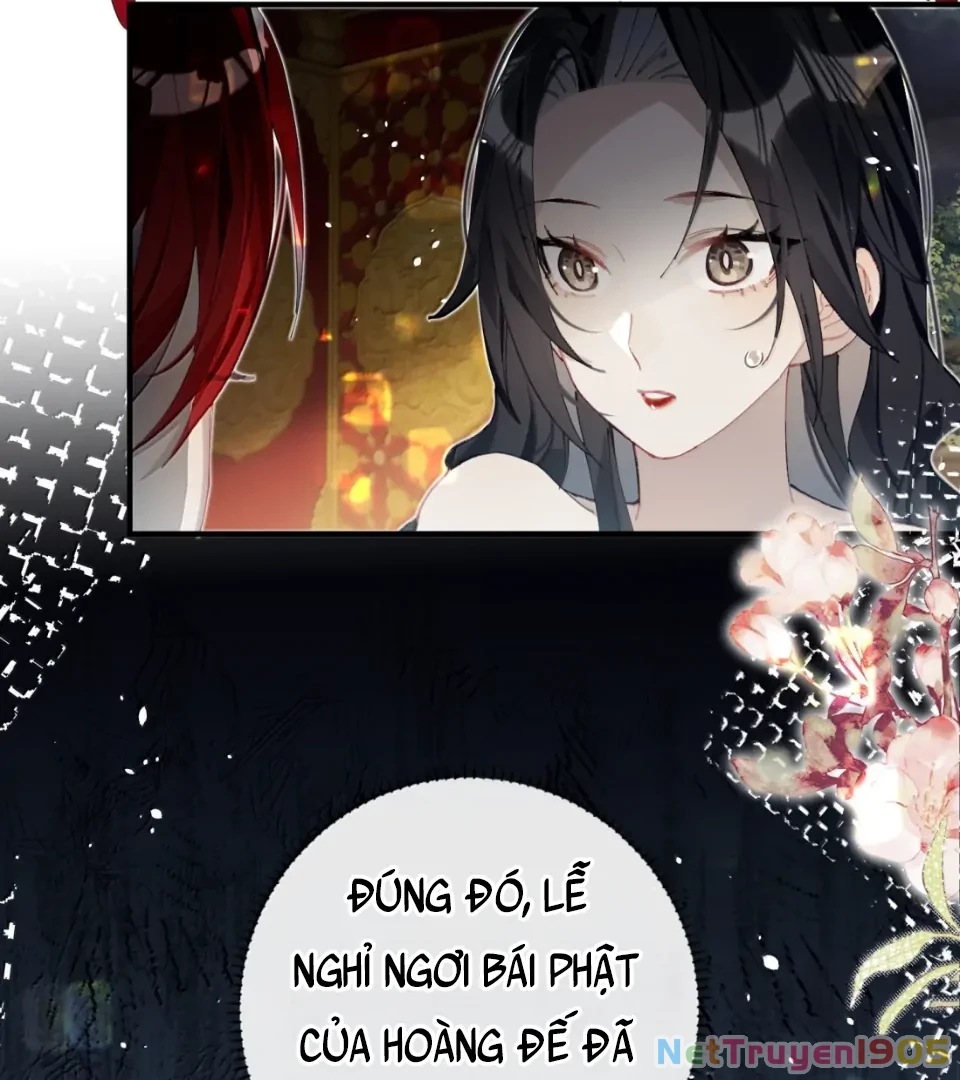 Quấn Quýt Chapter 20 - 66