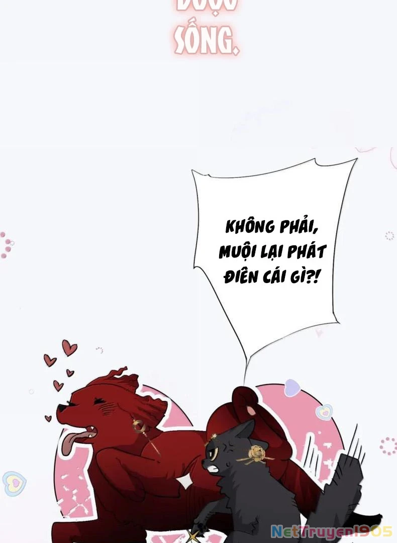 Quấn Quýt Chapter 22 - 33