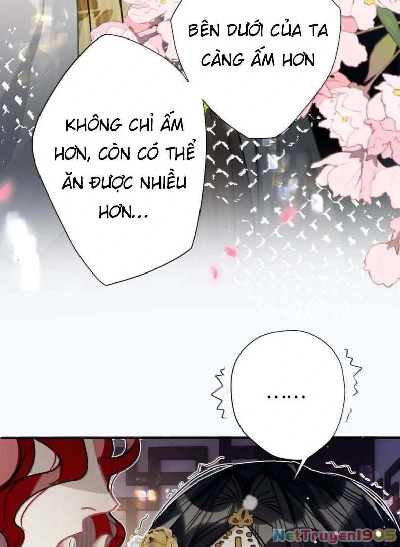 Quấn Quýt Chapter 22 - 42