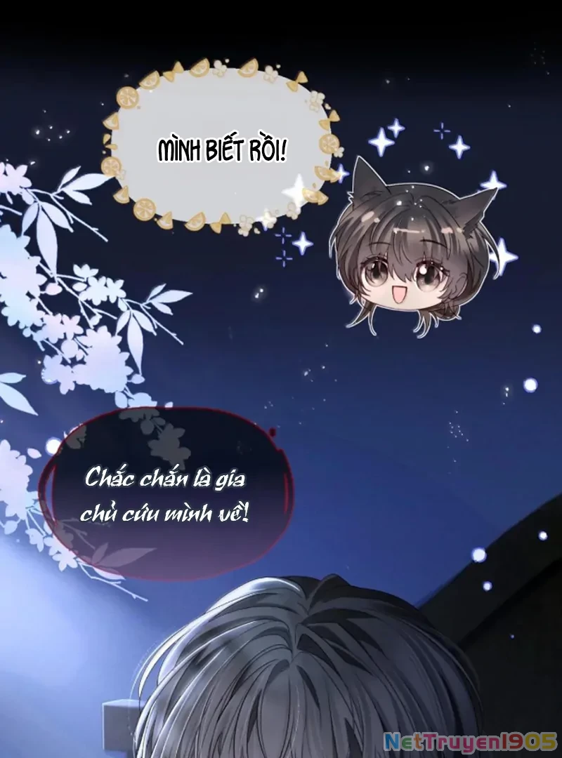 Thiết Lập Yêu Cầu Em Yêu Tôi Chapter 21 - 13