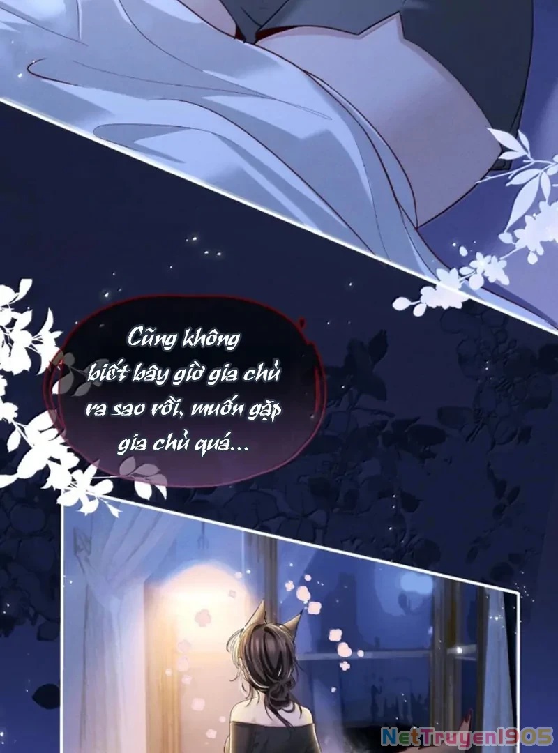 Thiết Lập Yêu Cầu Em Yêu Tôi Chapter 21 - 15