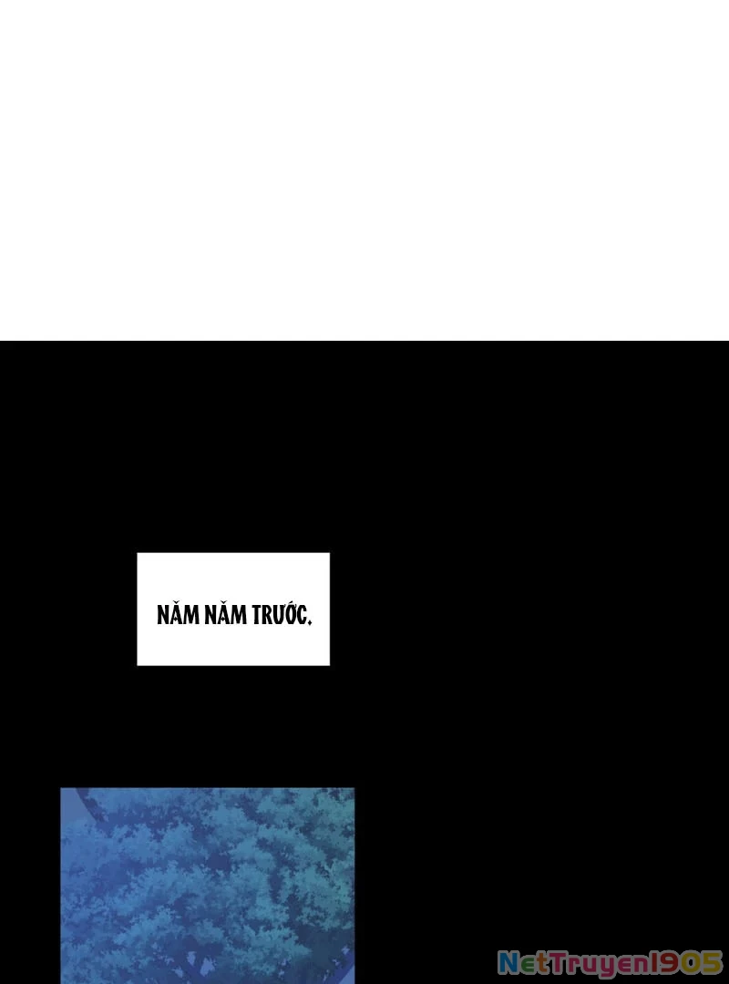 Đại Lão, Đầu Cô Lại Rớt Rồi Kìa! Chapter 8 - 39