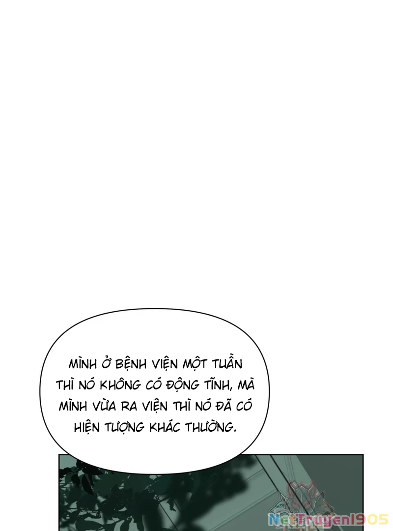 Đại Lão, Đầu Cô Lại Rớt Rồi Kìa! Chapter 11 - 13