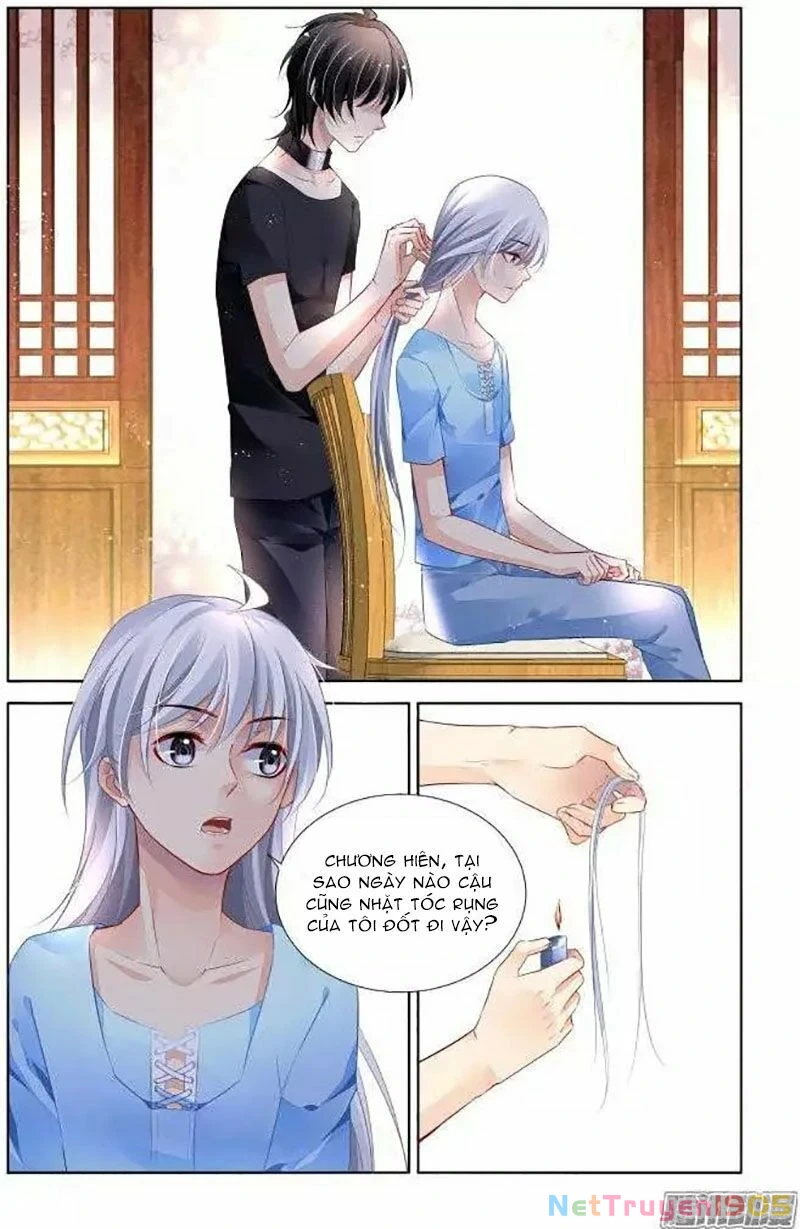 Linh Khế Chapter 183 - 5