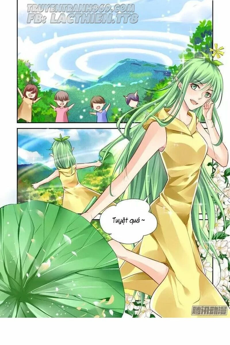Linh Khế Chapter 216 - 2