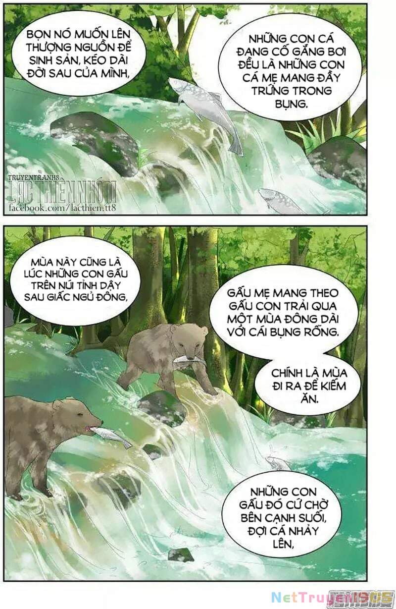 Linh Khế Chapter 228 - 10