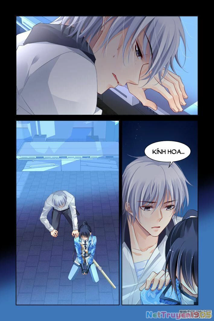 Linh Khế Chapter 246 - 8
