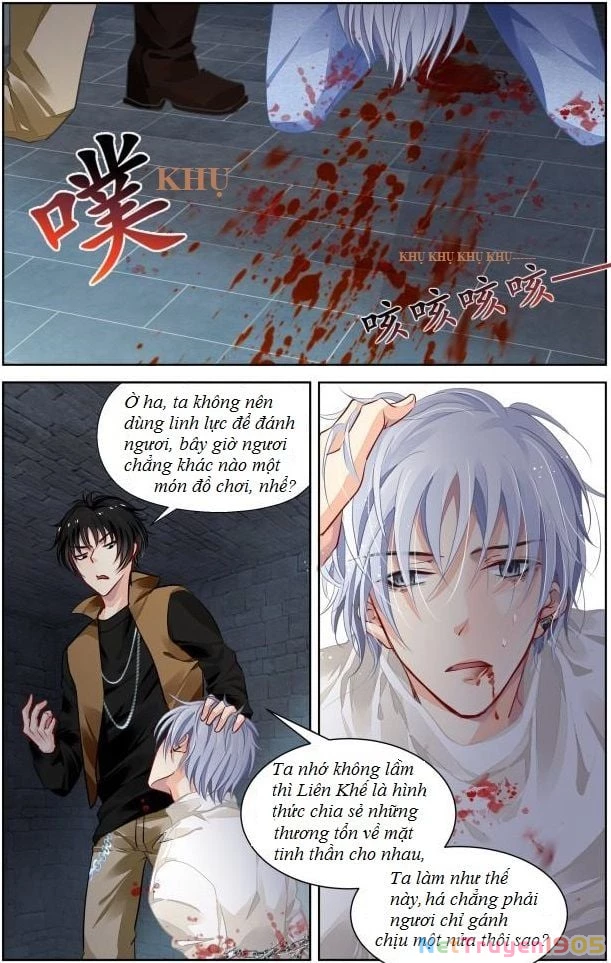 Linh Khế Chapter 284 - 8