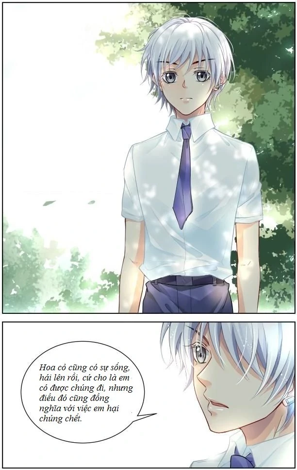 Linh Khế Chapter 288 - 2