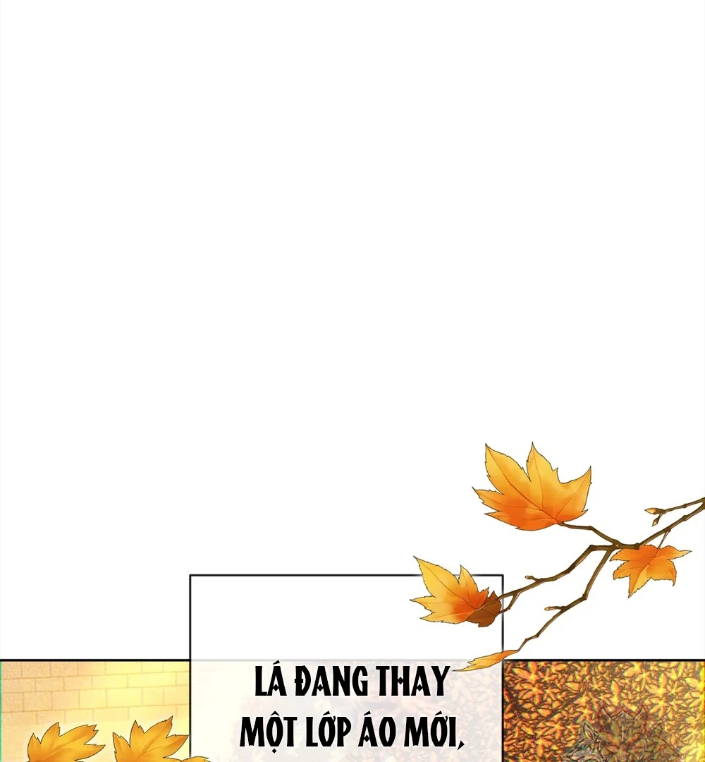 Tình Yêu Méo Mó Chapter 11 - 4