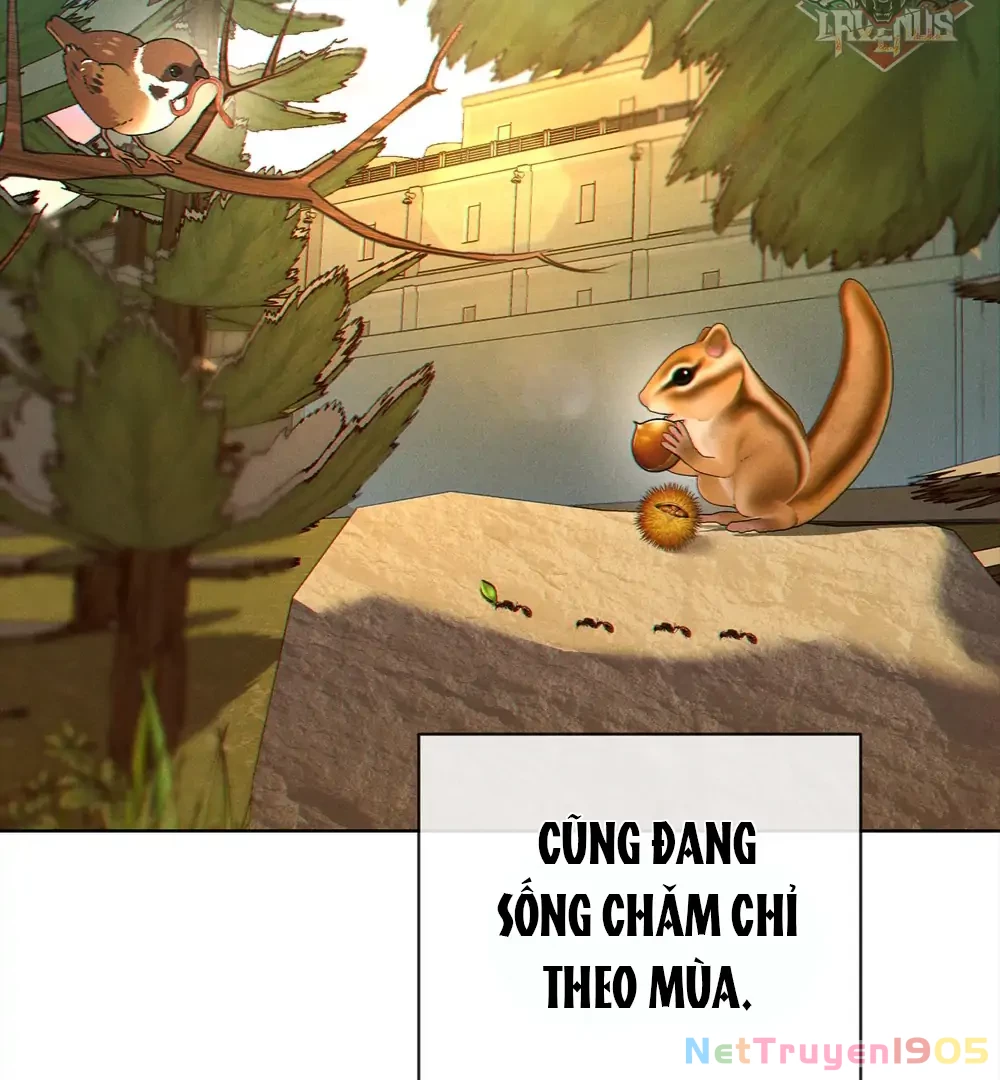 Tình Yêu Méo Mó Chapter 11 - 10