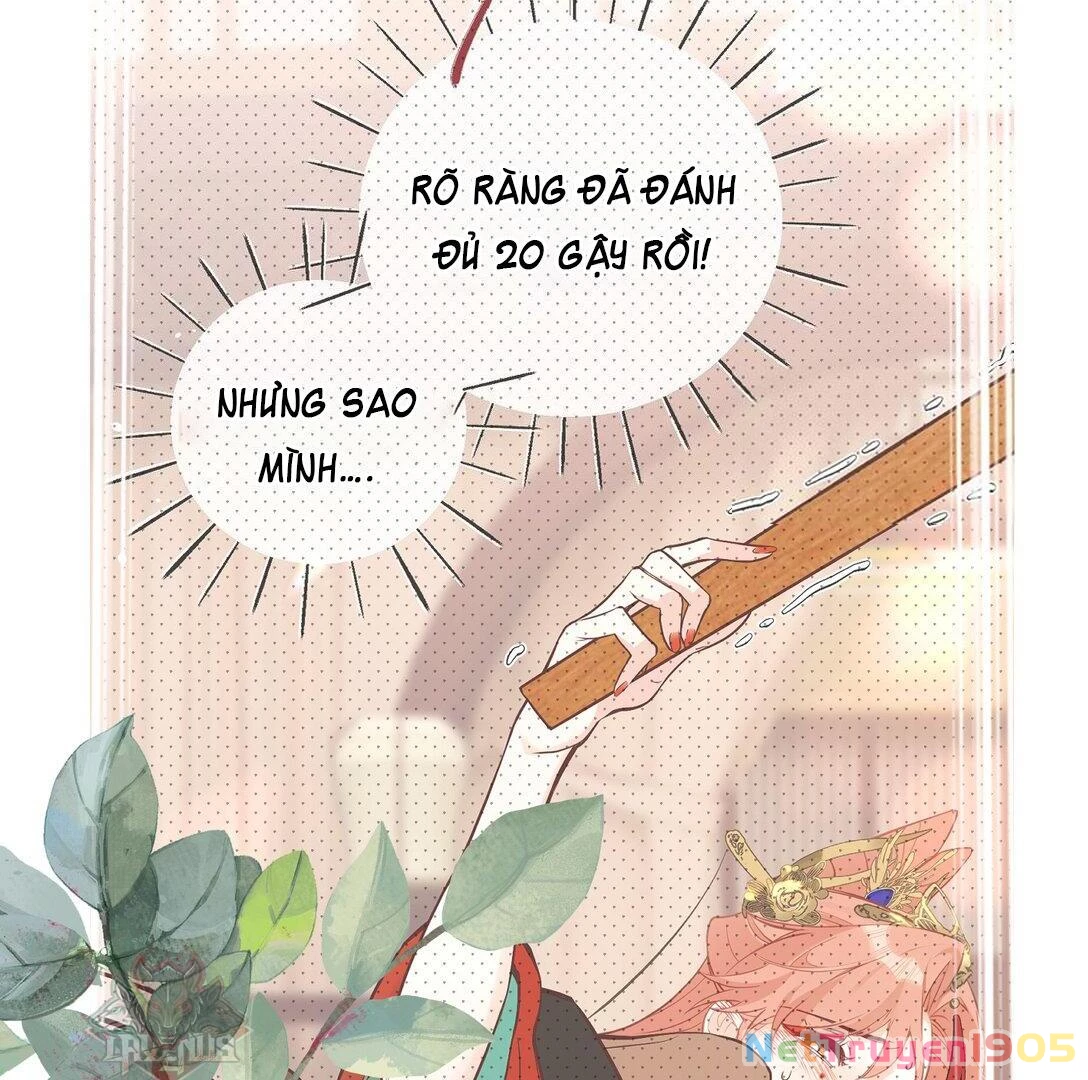 Nghe Nói Thái Hậu Với Thái Hậu Là Thật Sao? Chapter 32 - 2