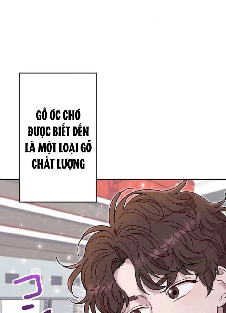 Sự tái sinh của nhà thiết kế tài ba Chapter 19 - 23