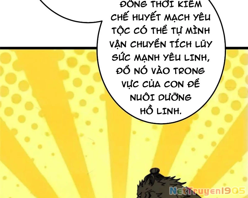 Chưởng Môn Khiêm Tốn Chút Chapter 527 - 49