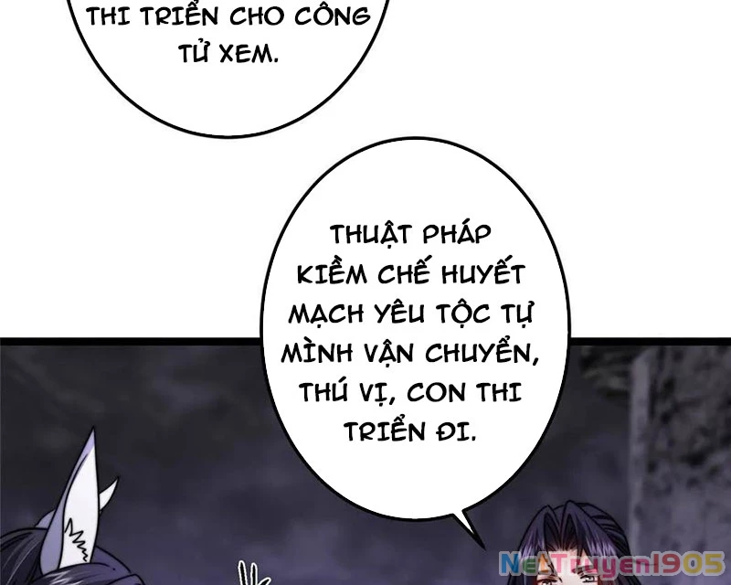 Chưởng Môn Khiêm Tốn Chút Chapter 527 - 52