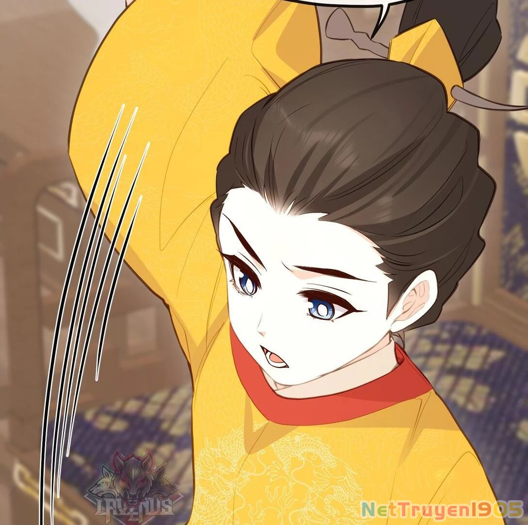 Nghe Nói Thái Hậu Với Thái Hậu Là Thật Sao? Chapter 35 - 46