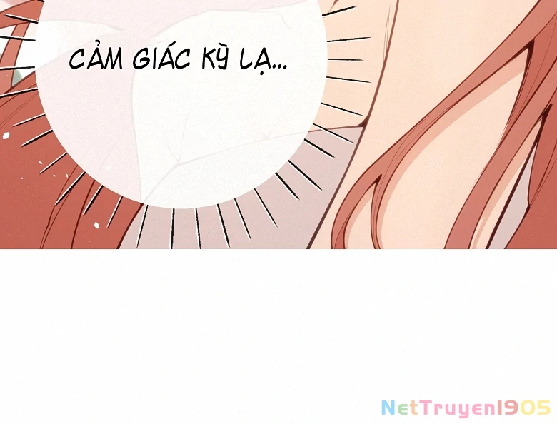 Nghe Nói Thái Hậu Với Thái Hậu Là Thật Sao? Chapter 39 - 13